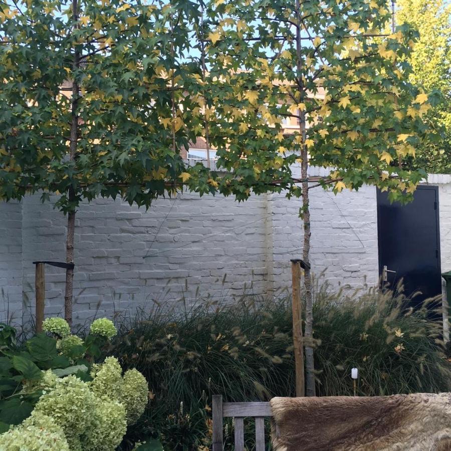 Bed and Breakfast Chez Helene Maastricht Exterior foto